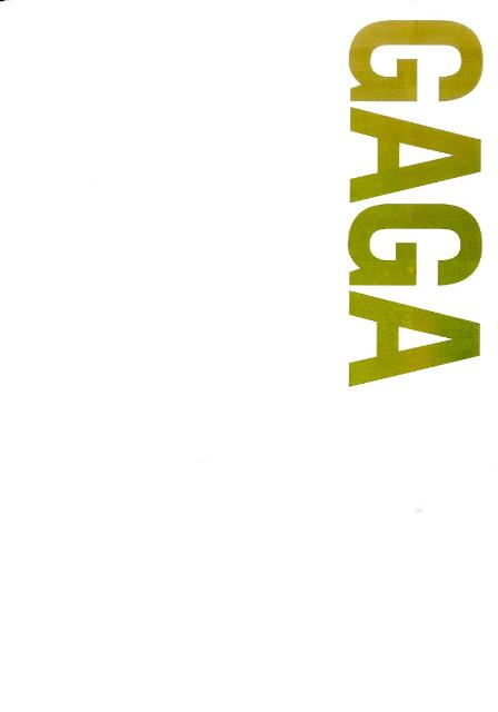 レディー・ガガエッセンシャル・フォトバイオグラフィー