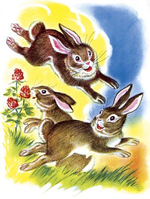 Have a Fun-Filled Birthday - Frisky Bunnies Birthday Card HAVE A FUN-FILLED BIRTHDAY - F [ Milo Winter ]