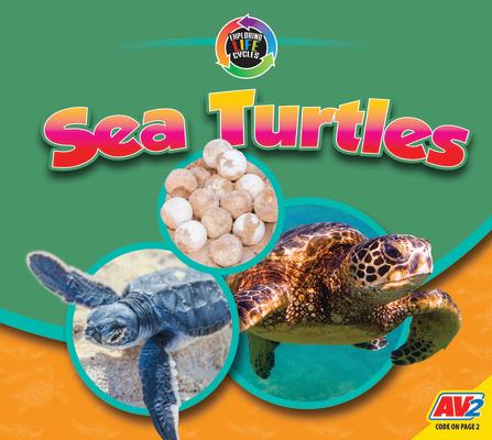 Sea Turtles SEA TURTLES （Exploring Life Cycles） 