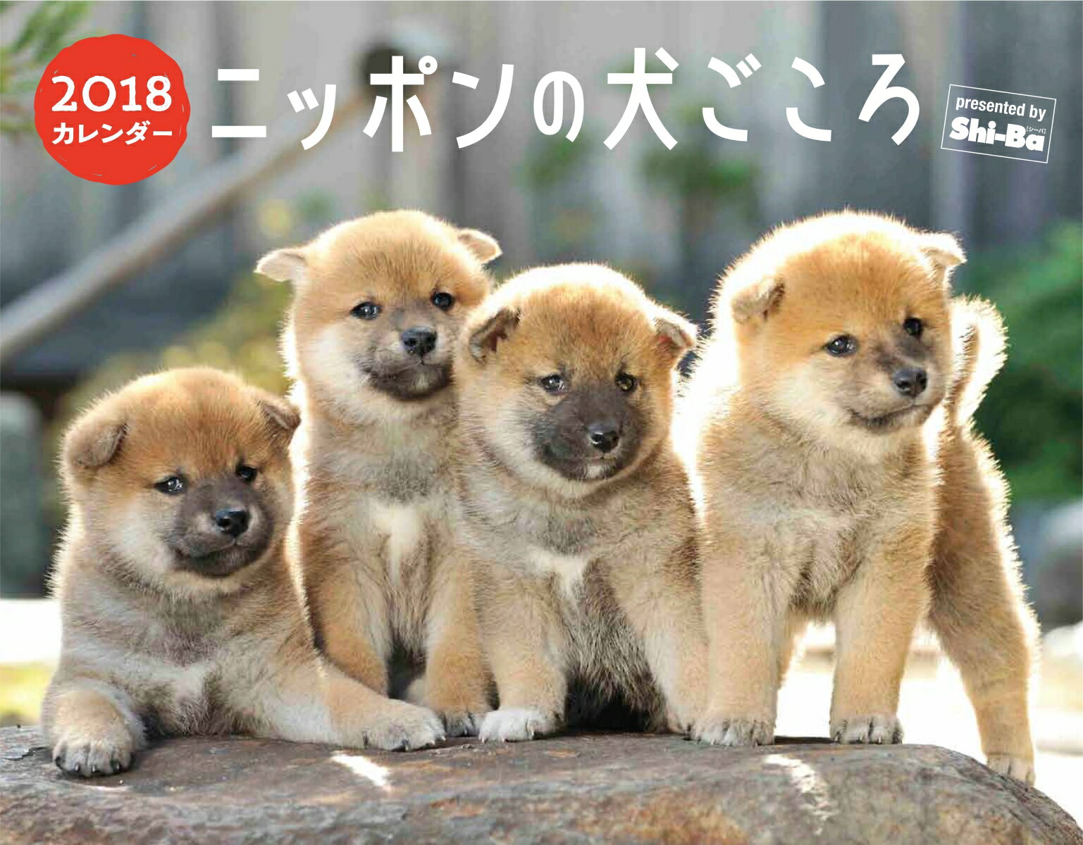 2018カレンダー　ニッポンの犬ごころ
