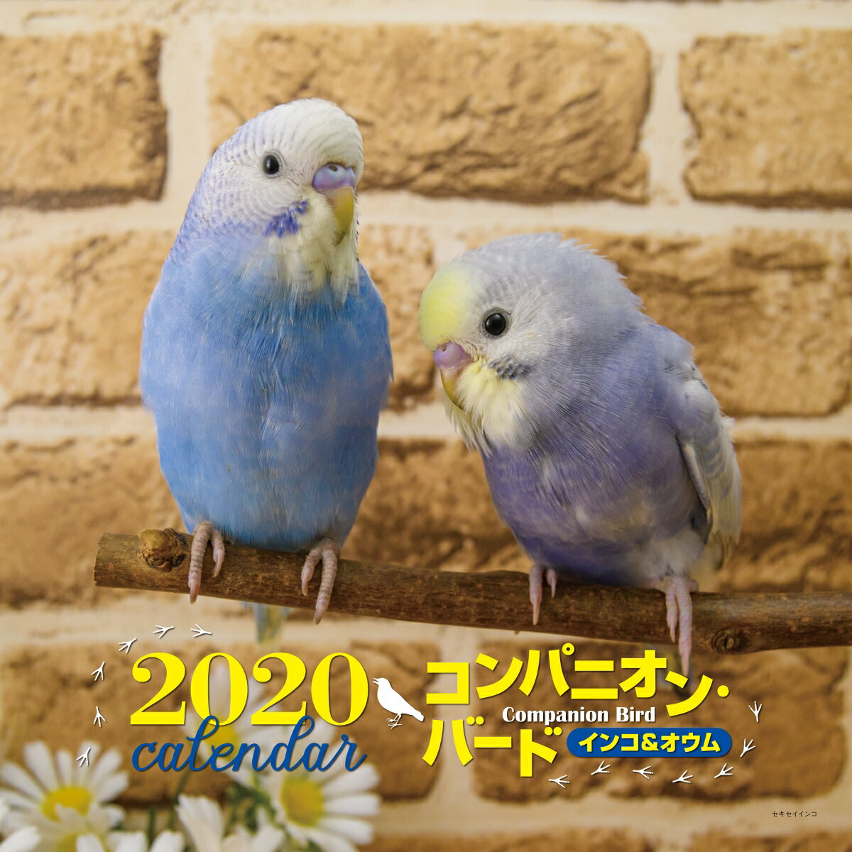 2020年 大判カレンダー　コンパニオンバード インコ＆オウム