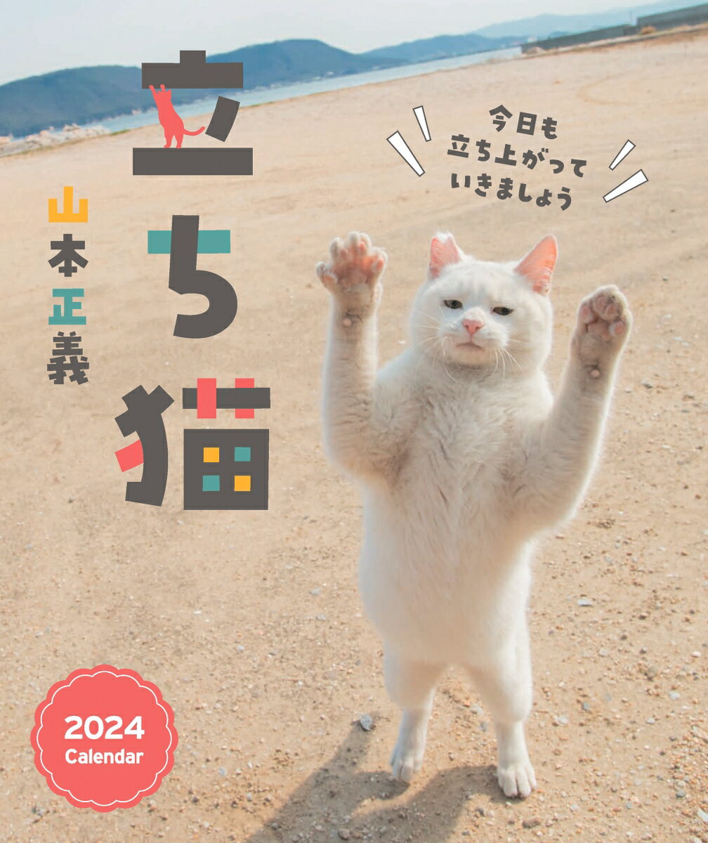 立ち猫カレンダー 2024 [ 山本 正義 ]