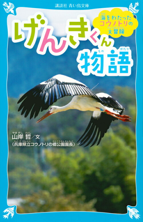 コウノトリの「げんきくん」は、２０１４年に福井県越前市の施設で生まれました。翌年放鳥され、北は宮城、南は長崎まで移動をくり返し、ついに海をわたって北朝鮮に到達します。ふたたび日本に舞いもどったげんきくんは、「ななちゃん」と出合い、結婚生活をスタートするのですが…。鳥類研究の第一人者が、科学的調査をもとにコウノトリの数奇な半生を描くノンフィクション！小学上級・中学から。