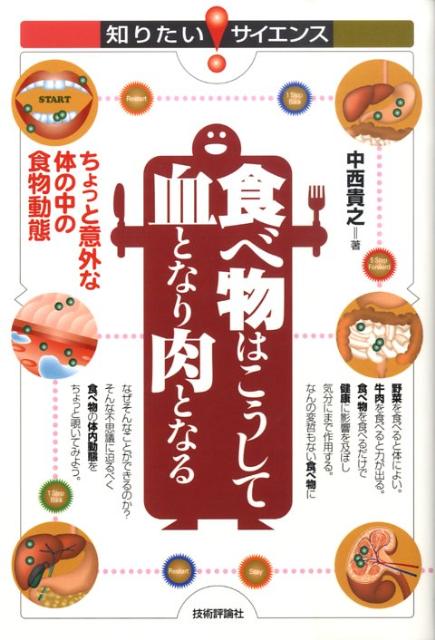 食べ物はこうして血となり肉となる