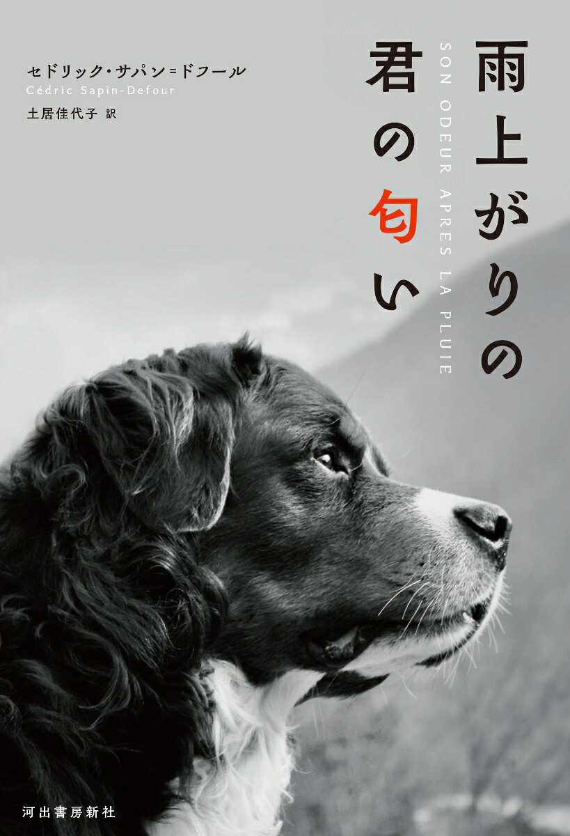 雨上がりの君の匂い [ セドリック・サパン＝ドフール ]のサムネイル