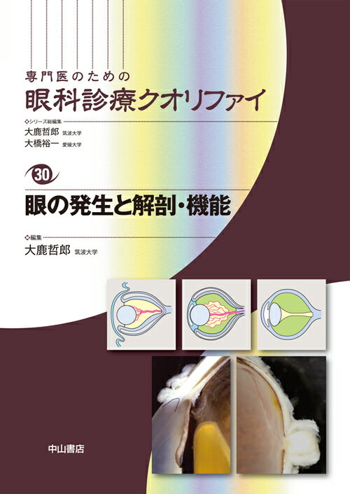 眼の発生と解剖・機能