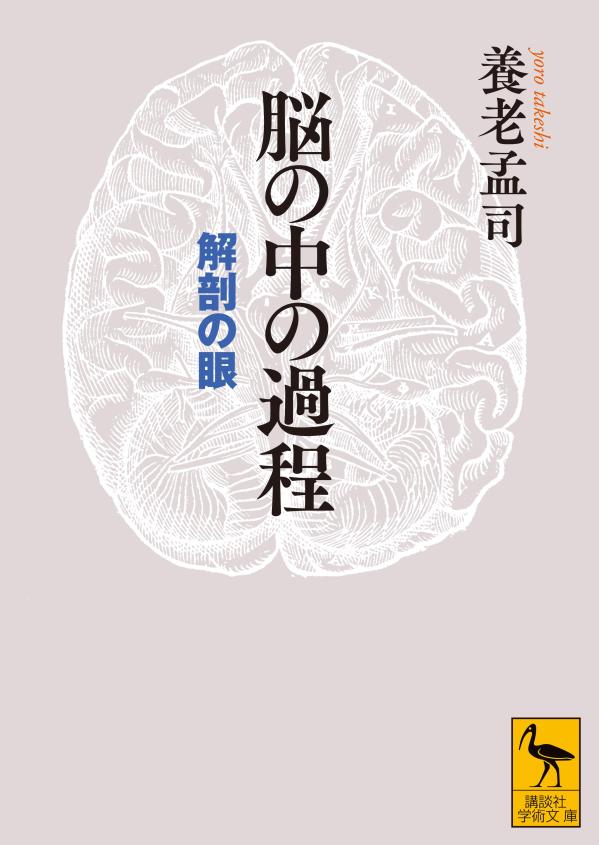 脳の中の過程 解剖の眼