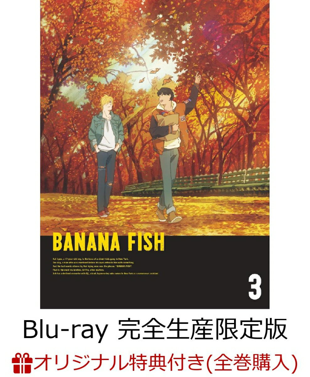 【楽天ブックス+店舖共通全巻購入特典対象】BANANA FISH Blu-ray Disc BOX 3(完全生産限定版)【Blu-ray】