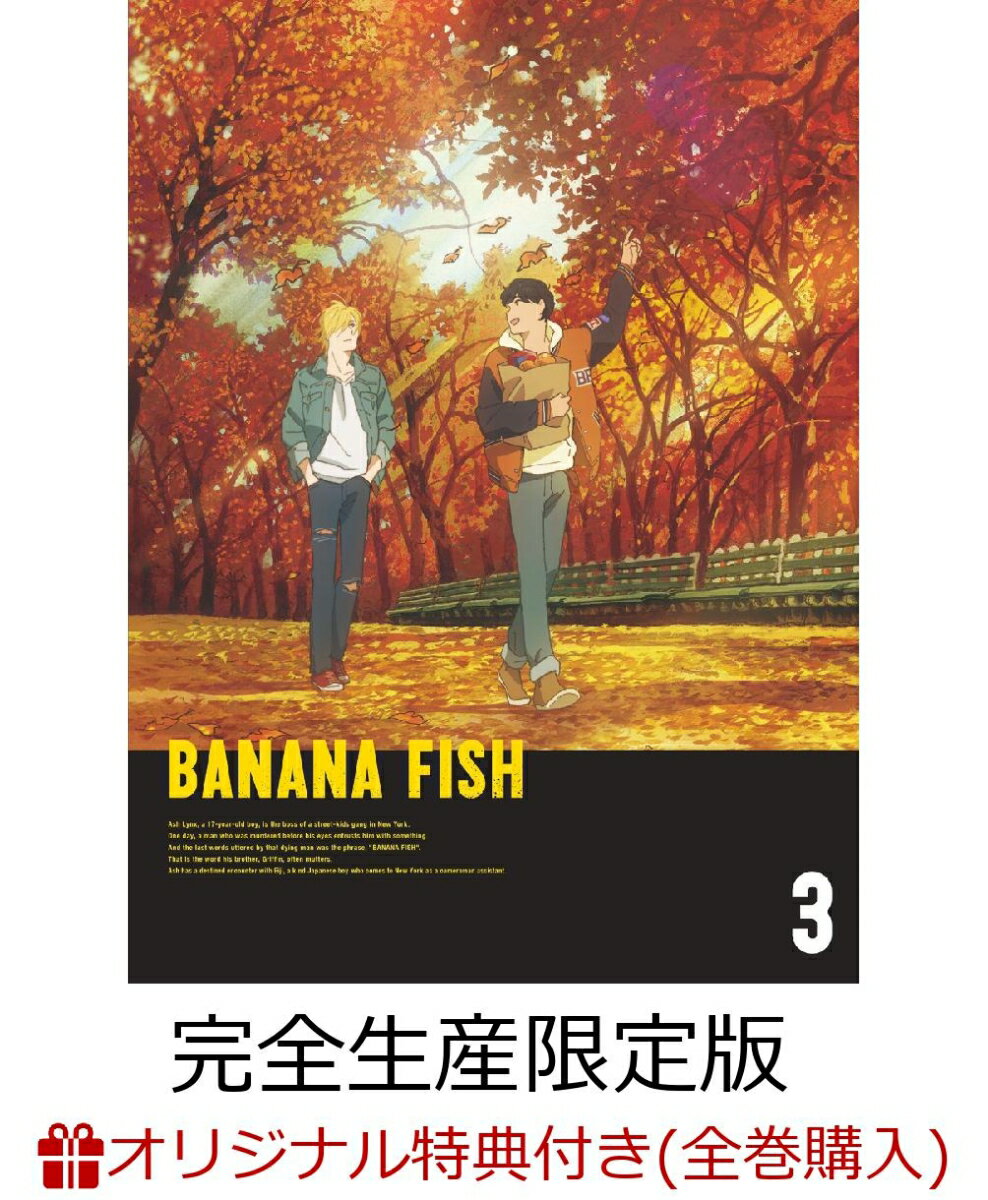【楽天ブックス+店舖共通全巻購入特典対象】BANANA FISH DVD BOX 3(完全生産限定版)