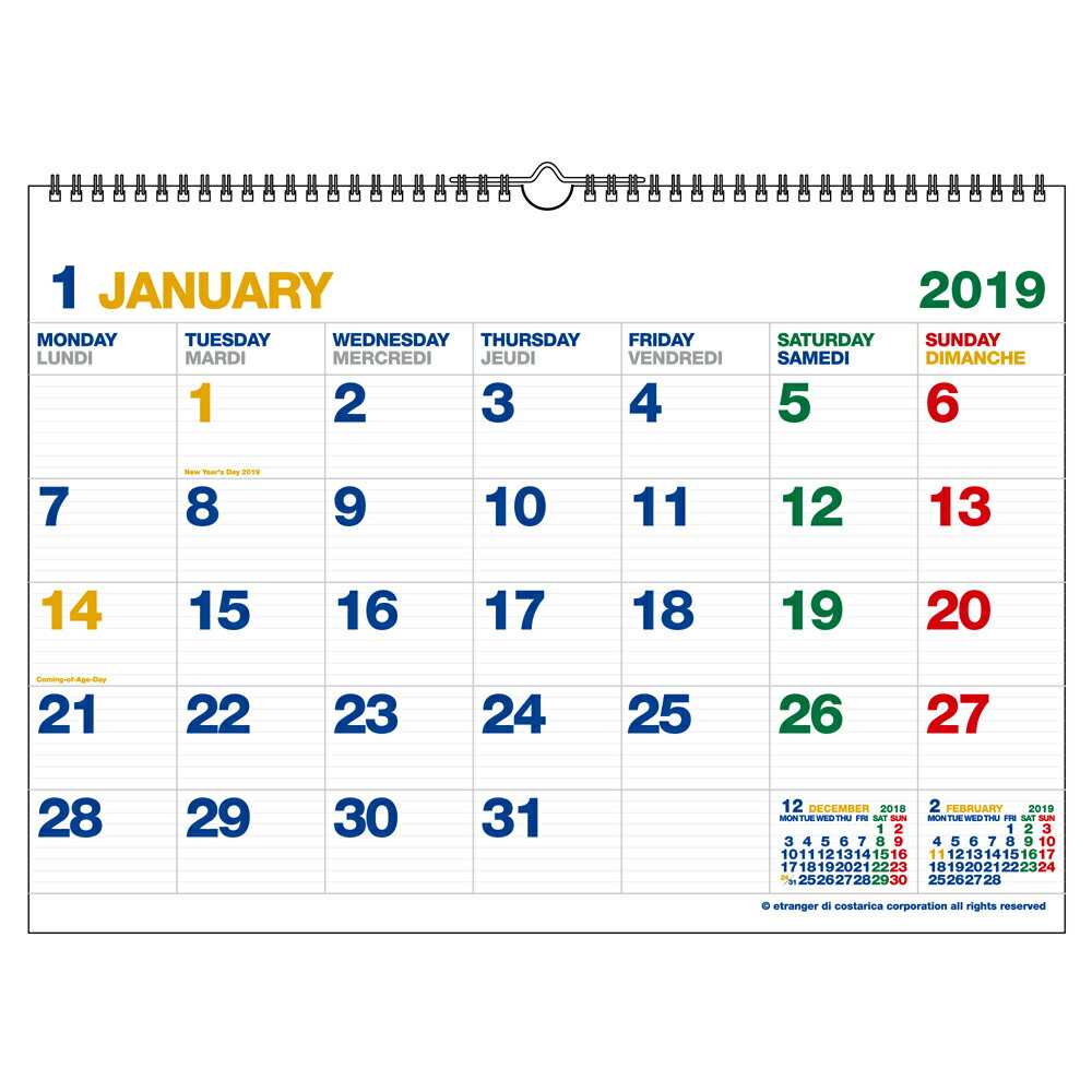 2019年 カレンダー 壁掛け A3 ホワイト