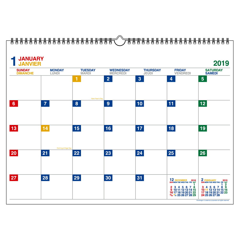 2019年 カレンダー 壁掛け A3 ホワイト