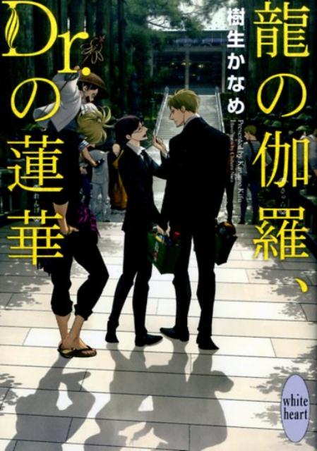 「姐さんは坊主になるのか？」美貌の内科医・氷川諒一とその恋人で指定暴力団・眞鍋組組長の橘高清和の前に、ロシアン・マフィア、イジオットの皇太子ウラジーミルが現れた。愛人の藤堂和織を迎えに来たのだ。けれど、藤堂はウラジーミルから逃れるため、高野山へ向かっていた！！清和の更生を夢見ている氷川は、眞鍋組を眞鍋寺にすべく大暴走を始めてしまい！？