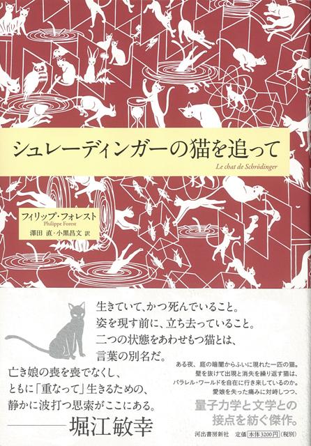 【バーゲン本】シュレーディンガーの猫を追って