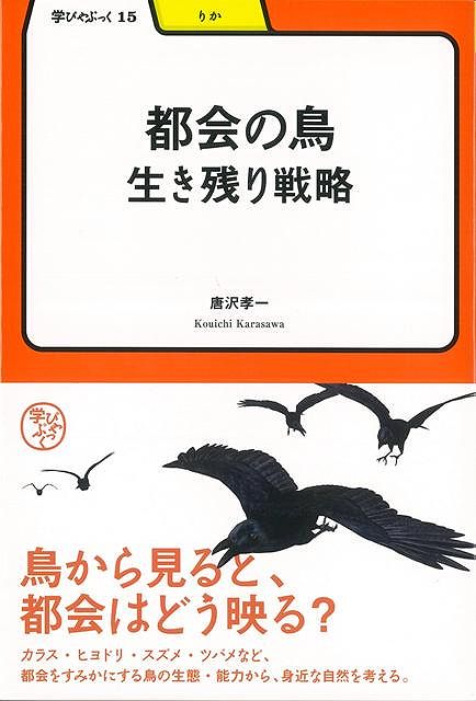 【バーゲン本】都会の鳥ー生き残り戦略ー学びやぶっく15