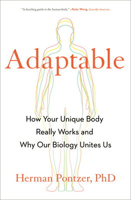 ŷ֥å㤨Adaptable: How Your Unique Body Really Works and Why Our Biology Unites Us ADAPTABLE [ Herman Pontzer ]פβǤʤ5,068ߤˤʤޤ