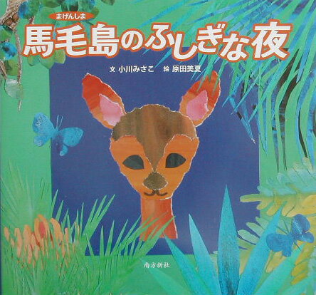 馬毛島（まげんしま）のふしぎな夜