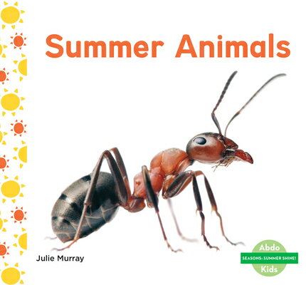 Summer Animals SUMMER ANIMALS （Seasons: Summer Shine!） [ Julie Murray ]