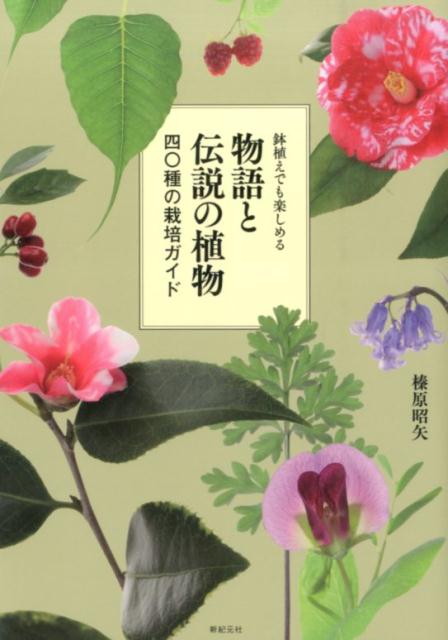 物語と伝説の植物 鉢植えでも楽しめる [ 榛原昭矢 ]