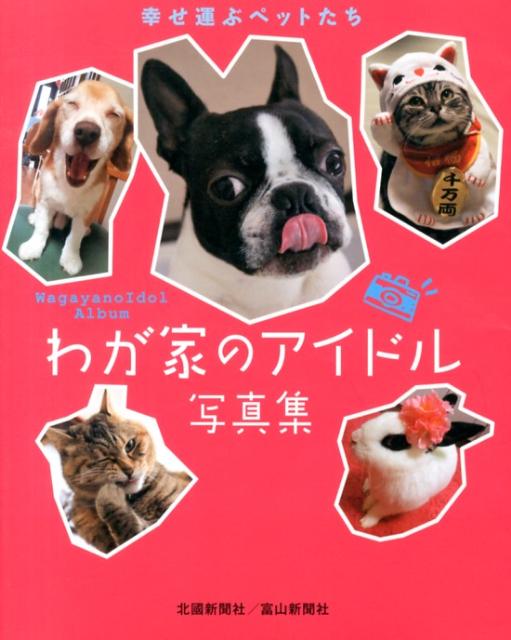 わが家のアイドル写真集