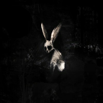 【輸入盤】フォロー・ザ・ホワイト・ラビット