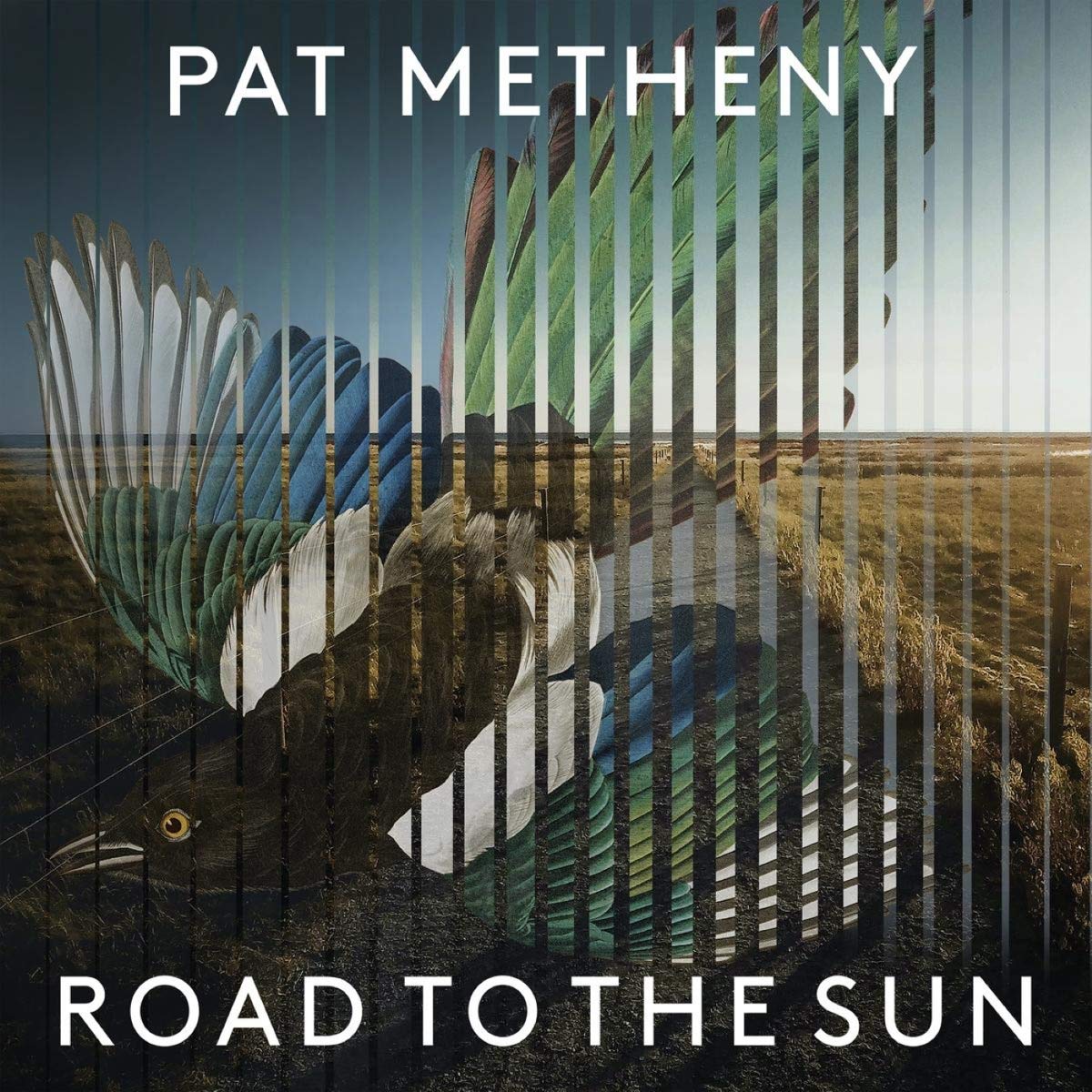 【輸入盤】ロード・トゥ・ザ・サン [ PAT METHENY ]