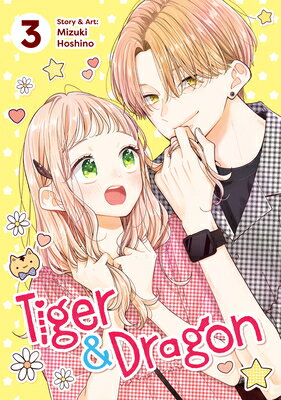 Tiger and Dragon Vol. 3 TIGER & DRAGON VOL 3 （Tiger and Dragon） [ Mizuki Hoshino ]