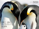 2020年 ワイド判カレンダー　世界で一番美しいペンギン カレンダー [ 水口 博也 ]