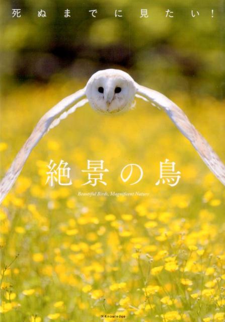 美しい自然の風景に、美しい鳥たちに、心癒やされる。