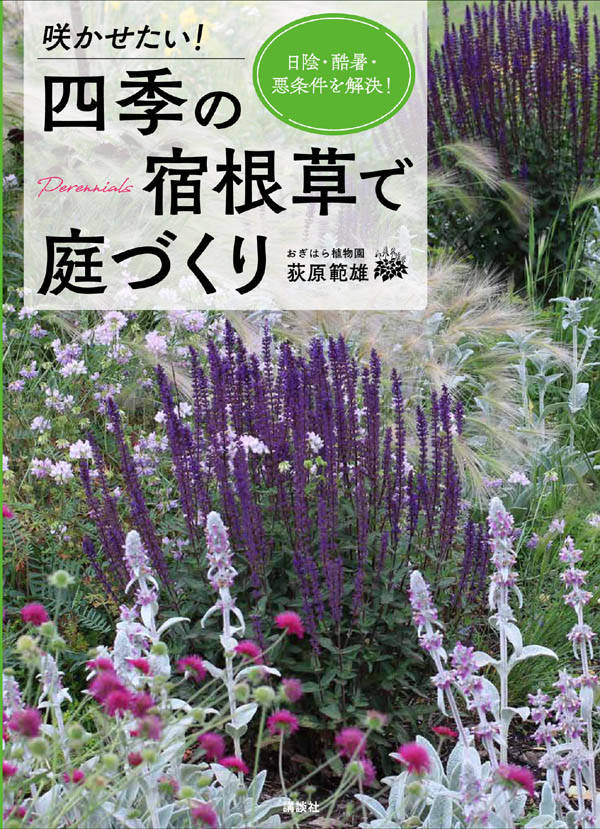 荻原 範雄 講談社サカセタイ! シキノシュッコンソウデニワヅクリ ヒカゲ・コクショ・アクジョウケンヲカイケツ! オギハラ ノリオ 発行年月：2020年08月28日 予約締切日：2019年10月11日 ページ数：96p サイズ：単行本 ISBN：9784062209342 荻原範雄（オギハラノリオ） 1978年（昭和53）、三重県生まれ。全国の植物ファンから絶大な信頼を寄せられる、日本一の宿根草専門店「おぎはら植物園」の上田店店長。海外からの品種導入や栽培、販売を通じて、実務経験で得た知識を生かし、園芸雑誌の監修・執筆などで活躍している（本データはこの書籍が刊行された当時に掲載されていたものです） 1　コンテナ植えで華やかに／2　花いっぱいのスペースにしたい！／3　日陰の場所でも植物を育てたい／4　暑さに負けずに植物を育てたい／5　乾燥地でも植物を育てたい／6　ローメンテナンスな庭にしたい／7　多湿の庭で植物を育てたい／8　痩せ地、荒れ地でも植物を育てたい／9　雑草に負けないグラウンドカバーを育てたい／10　つる植物を使いこなしたい／11　宿根草栽培の基礎知識 「使える」宿根草を宿根草専門店が厳選紹介！小スペース、痩せ地、荒れ地、多湿など、どんなところも宿根草で憩いの空間に！テーマ別宿根草図鑑つき！ 本 ビジネス・経済・就職 産業 農業・畜産業 美容・暮らし・健康・料理 ガーデニング・フラワー ガーデニング 美容・暮らし・健康・料理 ガーデニング・フラワー 花