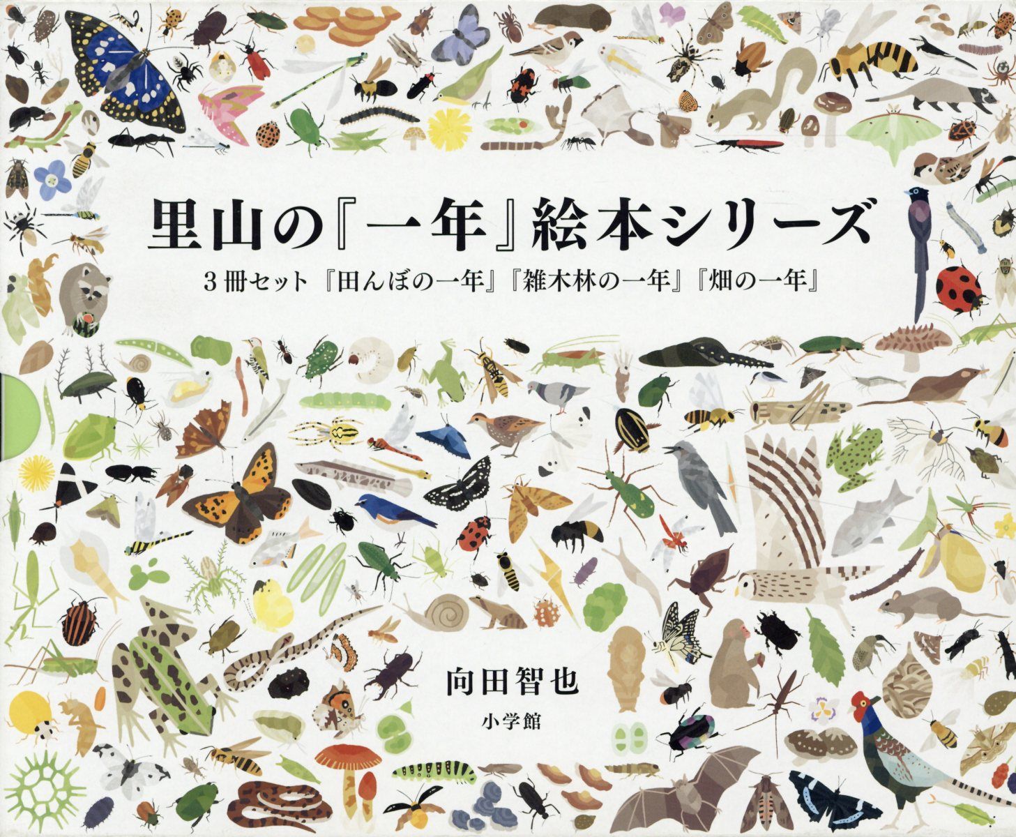 里山の『一年』絵本シリーズ（3冊セット）