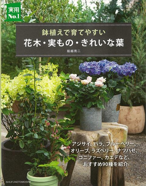 【バーゲン本】花木・実もの・きれいな葉ー鉢植えで育てやすい