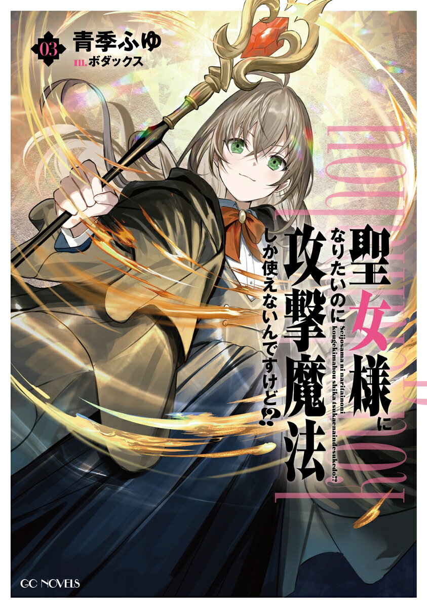 聖女様になりたいのに攻撃魔法しか使えないんですけど！？　3