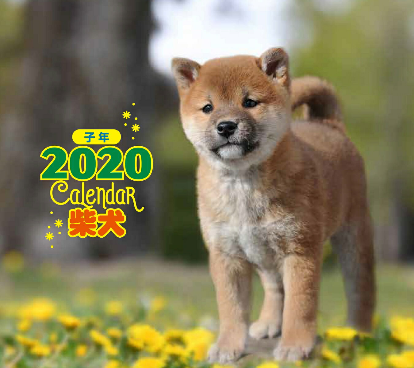 2020年 ミニ判カレンダー　柴犬