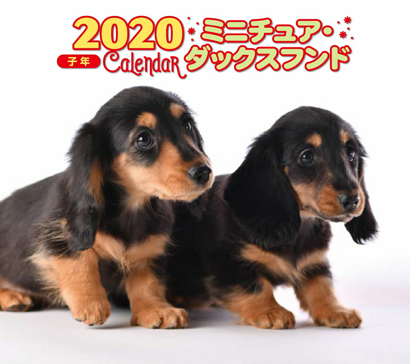 2020年 ミニ判カレンダー　ミニチュア・ダックスフンド