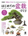 芽摘み、葉刈り、針金かけなど、伝統の技もマネするだけでできる。