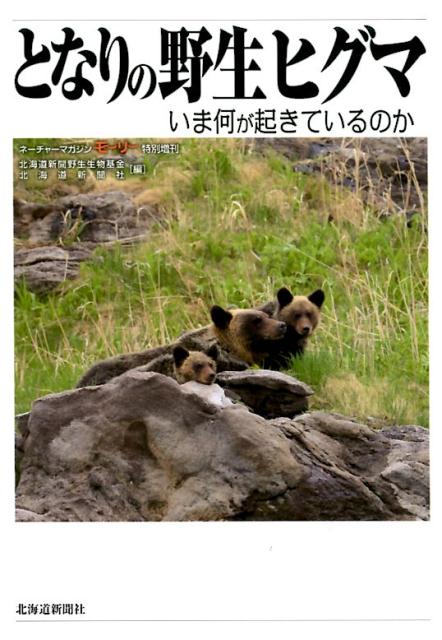 となりの野生ヒグマ