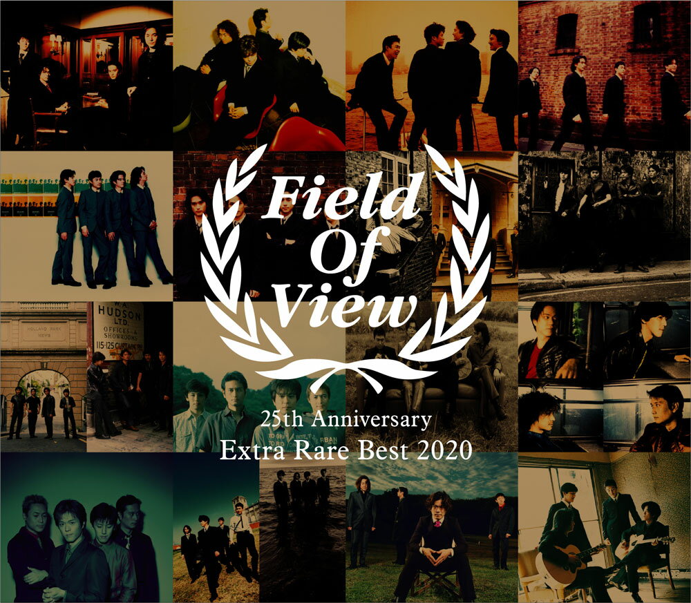 FIELD OF VIEW 25th Anniversary Extra Rare Best 2020 