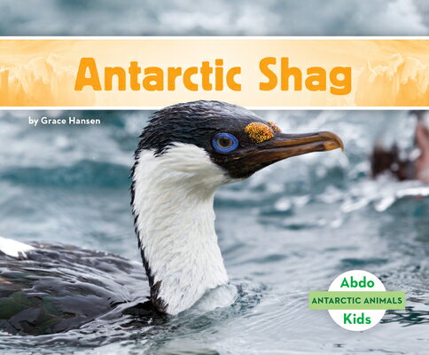 Antarctic Shag ANTARCTIC SHAG （Antarctic Animals） [ Grace Hansen ]
