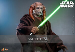 【ムービー・マスターピース】 『スター・ウォーズ エピソード3/シスの復讐』 1/6スケールフィギュア サシー・ティン (可動式フィギュア)