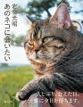 世界中ネコに会いにいく。映画主演猫のベーコン、岩合さんの愛猫たち、『岩合光昭の世界ネコ歩き』に登場した国内外の猫たちなど約３０匹が一挙登場。