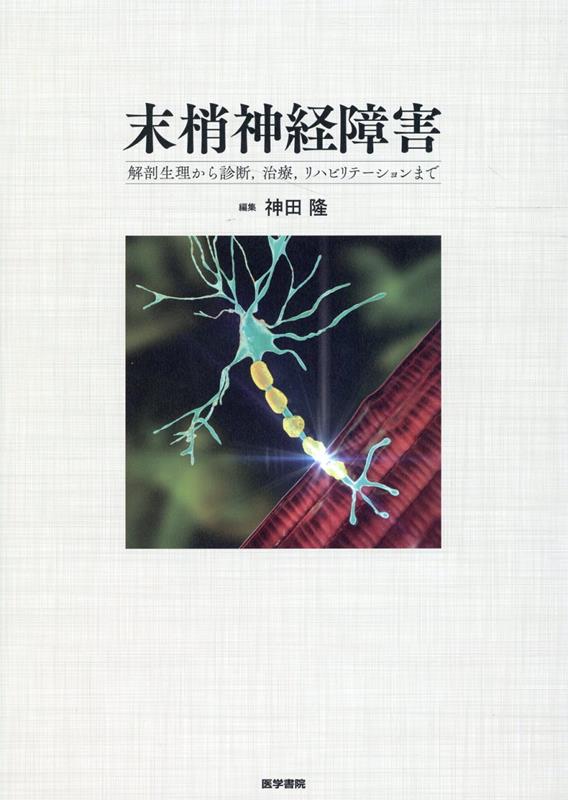 末梢神経障害 解剖生理から診断，治療，リハビリテーションまで [ 神田 隆 ]