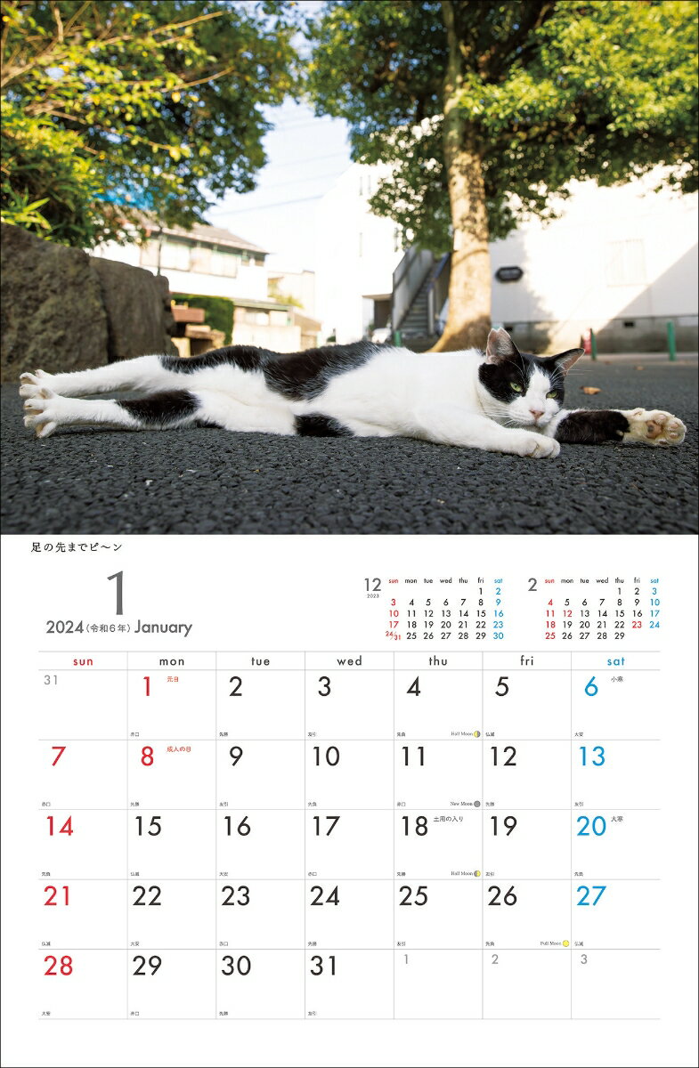 2024 幸せを招くハチワレ猫カレンダー [ ...の紹介画像2