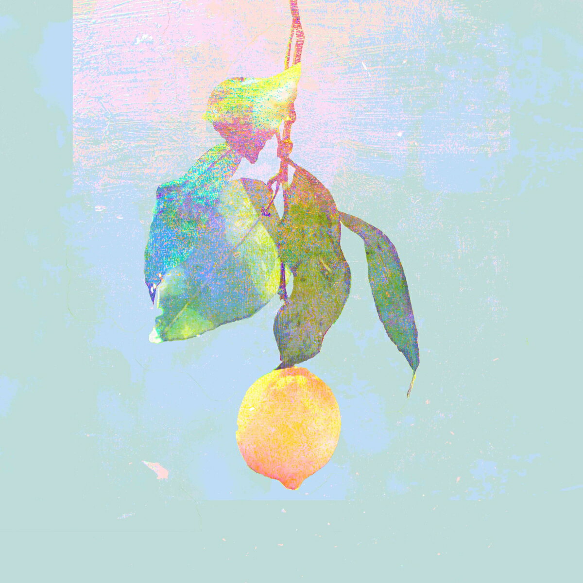 Lemon (通常盤)