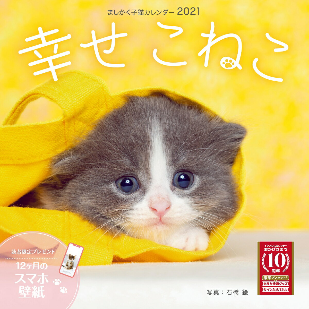 ましかく子猫カレンダー幸せこねこ（2021） （［カレンダー］）