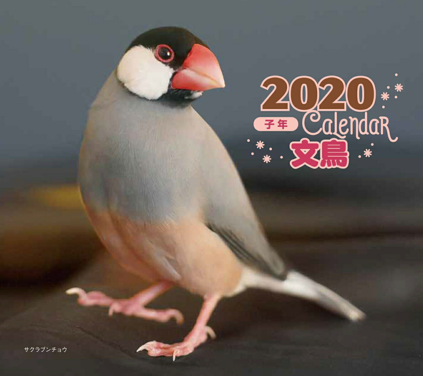 2020年 ミニ判カレンダー　文鳥