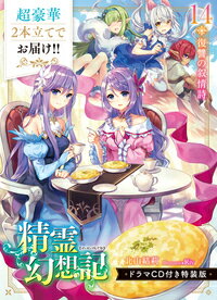 精霊幻想記 14 ドラマCD付き特装版