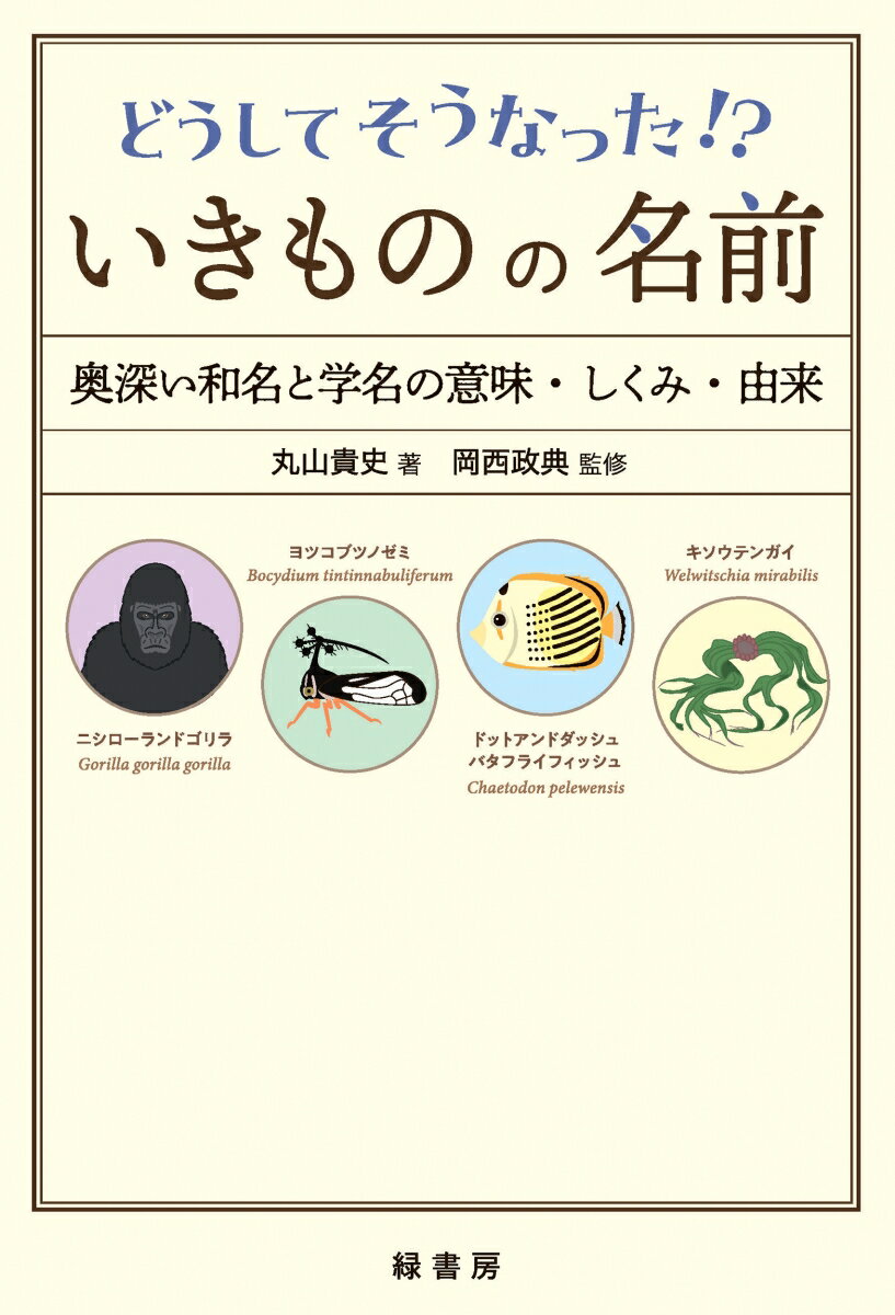 どうしてそうなった!?　いきものの名前 奥深い和名と学名の意味・しくみ・由来 [ 丸山 貴史 ]