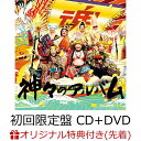 【楽天ブックス限定先着特典】神々のアルバム (初回限定盤 CD+DVD)(オリジナルA5クリアファイル) [ グループ魂 ]