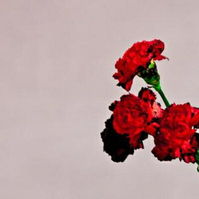 【輸入盤】Love In The Future