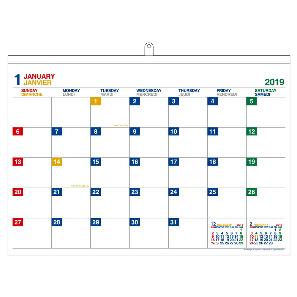 2019年 カレンダー 壁掛け A2 ホワイト